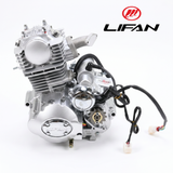 Lifan 50cc Komplettmotor 50cc Mash Cobra