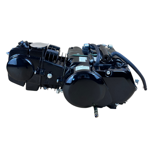 Bloc moteur Daytona 125cc SOHC pour Dax, Pitbike, Monkey..