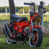 Carbon-Twin-Auspuff für Dax „The Shotgun“
