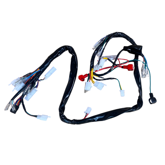 Complete wiring harness for Skyteam / Bluroc euro 5 Dax 125cc