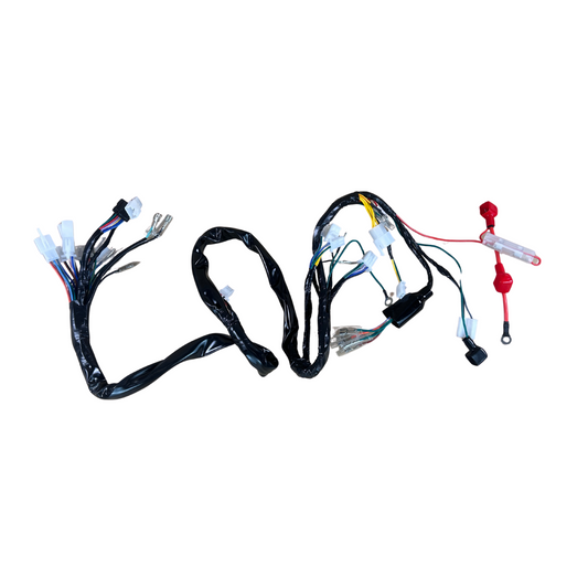 Complete wiring harness for Skyteam / Bluroc euro 4 Dax 50cc