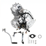 Lifan 50cc Komplettmotor 50cc Mash Cobra