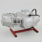 Bloc moteur Daytona Anima 190cc FSM (avec décompression automatique) 