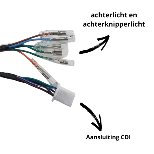 Wiring harness for Euro 2 Dax - Skyteam Zhenhua 50cc- 125cc 