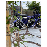 Carbon Twin exhaust for Dax 'The Shotgun' 