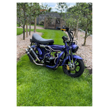 Carbon Twin exhaust for Dax 'The Shotgun' 