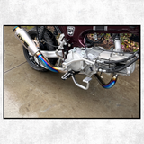Bloc moteur Daytona Anima 190cc FSM (avec décompression automatique) 