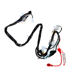 Faisceau de câbles complet pour Skyteam Dax 125cc euro 4 