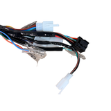 Faisceau de câbles complet pour Skyteam Dax 125cc euro 4 