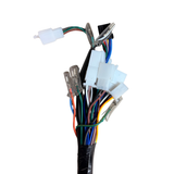 Faisceau de câbles complet pour Skyteam Dax 125cc euro 4 