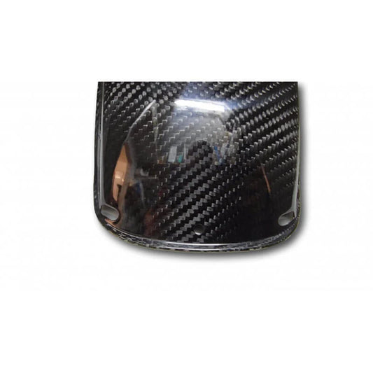 Carbon for fender for Dax 12V and replicas 