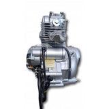 Lifan 50cc kompletter Motorblock 50cc Mash Cobra 