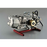 Bloc moteur Daytona Anima 190cc FSM (avec décompression automatique) 