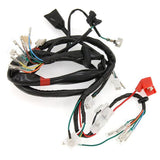 Faisceau de câbles complet - Type d'origine pour Honda Dax ST CT 12 volts 